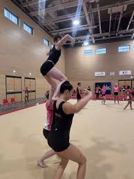 Image result for Wigan Seagulls