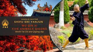 Image result for WUQI KUNG FU AND HEALTH SOCIETY