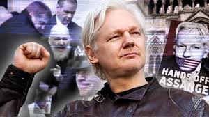 Image result for julian assange