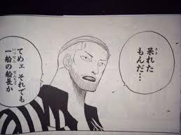 「アイスバーグ ONE PIECE」の画像検索結果