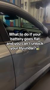 Image result for tuscani tibu...start=0