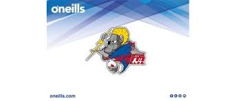 Image result for Newton - Le - Willows A R L F C