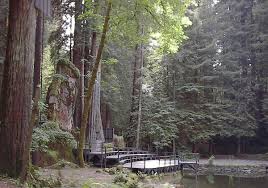 Image result for bohemian club