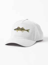 Image result for Sander canadensis