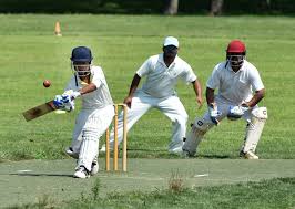 Image result for Amaranth Cricket Club