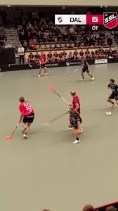 Image result for Basingstoke Demons Floorball Club