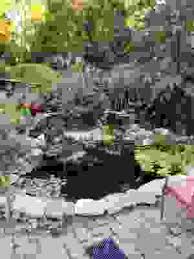 Image result for City of Preston Aquatics