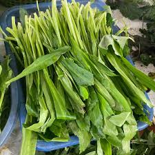 Attēlu rezultāti vaicājumam “Erodium cicutarium fruit”