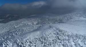 Картинки по запросу япония снег дороги