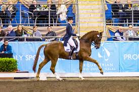 Image result for Interfreestyle Sport Karate