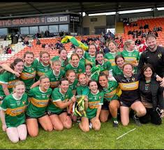 Image result for Clonmore Gfc