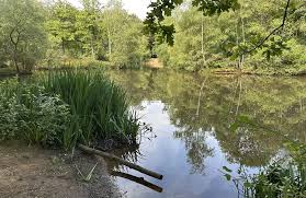 Image result for Epping Forest Mountain Bike Club