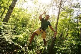 Image result for The Go Ape Experience (Delamere Forest)