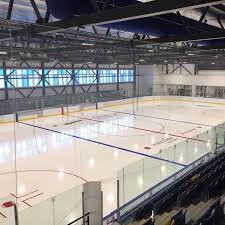 Image result for Romford Raiders