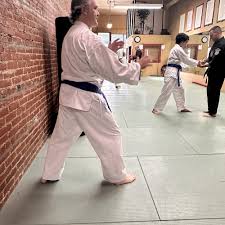 Image result for Newport Kyokushin Karate Club
