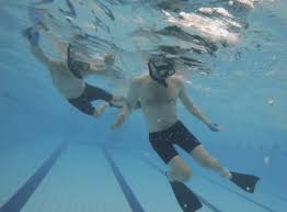 Image result for Croydon Wimbledon Octopush Club