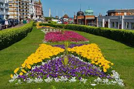 Image result for Polgrove (Bexhill On Sea)