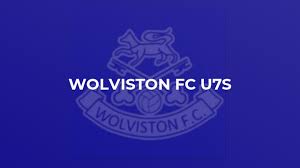 Image result for Wolviston Cricket Club