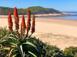 Image result for Clacton-On-Sea Bowling Club