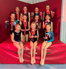 Image result for Holbeach and Fenland Gymnastics Club