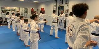 Image result for yonju dojo