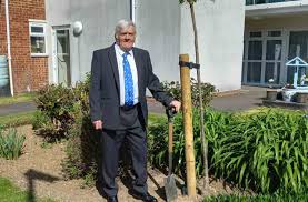 Image result for Cherry Tree Cricket Club