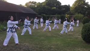 Image result for Tang Sou Dao Ren Yi Wu Kwan - Houghton & Wyton