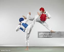 Image result for COMBAT TAEKWONDO