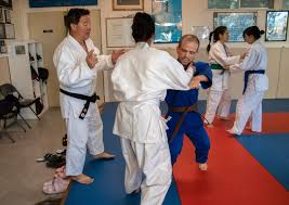 Image result for Sokudo Martial Arts Club