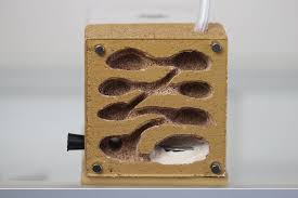 Image result for ytong ants