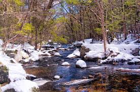 Image result for Old Elthamians Granby Cc