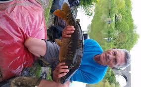 Image result for Warlingham & District Anglers` Society