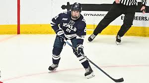 Image result for Brigg Hockey Club