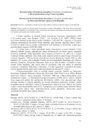 Attēlu rezultāti vaicājumam “Osmoderma barnabita imago”