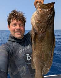 Image result for Mycteroperca rubra