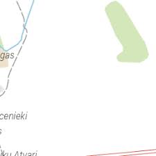 Attēlu rezultāti vaicājumam “Atylotus sp.”