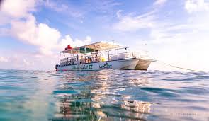 Image result for Looe Diving Club