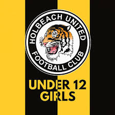 Image result for Holbeach Utd Sports & Youth Social Club