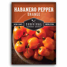 Afbeeldingsresultaat voor orange habanero hot pepper