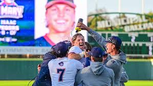 Image result for World Groundball Association