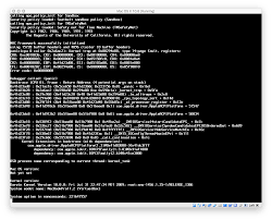 Image result for kernel panic snow leopard