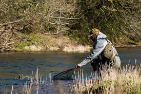 Image result for Bollington & Royal Oak Angling Society