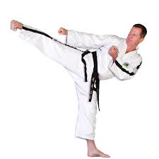 Image result for Hed Tkd (Dorking Tae Kwon-Do)