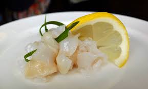 Image result for geoduck