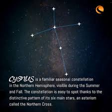 Attēlu rezultāti vaicājumam “Cygnus”