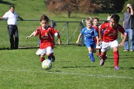 Image result for Walney Island Football Club