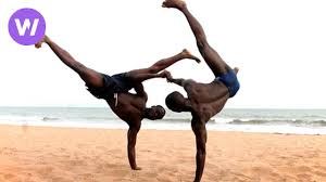 Image result for Brazilian-martial arts