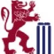 Image result for Sibton Park Cricket Club