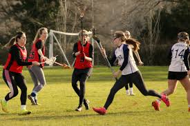 Image result for Welwyn Lacrosse Club
