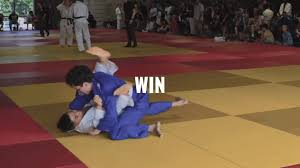 Image result for Revolution Dojo